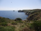 Ouessant wallpaper 25