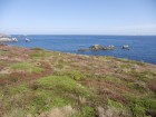 Ouessant wallpaper 29