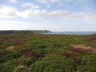 Ouessant wallpaper 33