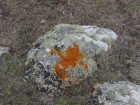 Ouessant wallpaper 36