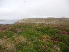 Ouessant wallpaper 50