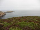 Ouessant wallpaper 57