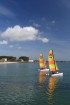Deux catamarans