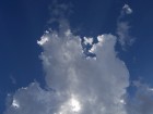 Florence wallpaper 5