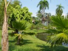 Chiang Mai wallpaper 2