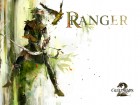 Guild Wars 2 wallpaper 6