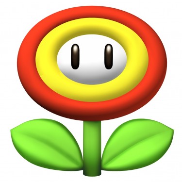 New Super Mario Bros. Wii wallpaper 23