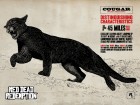 Red Dead Redemption wallpaper 43