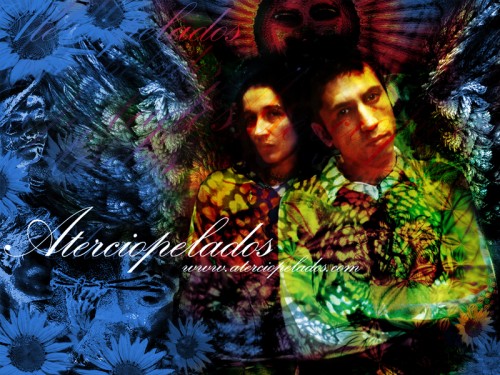 Aterciopelados wallpaper 1