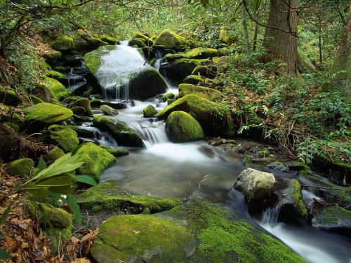 Cascades wallpaper 10