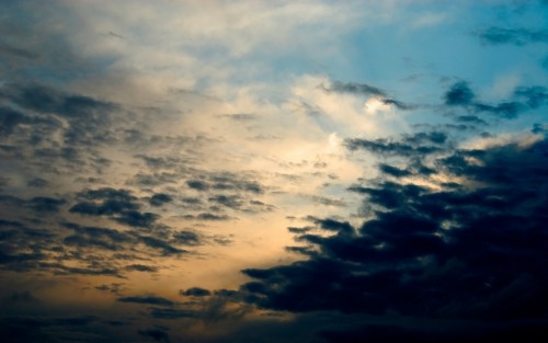 Ciel wallpaper 12
