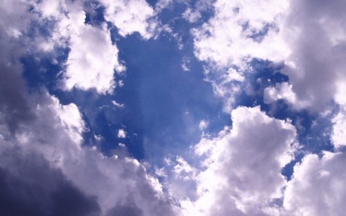 Ciel wallpaper 14