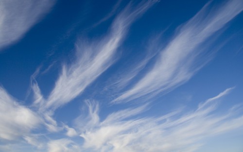 Ciel wallpaper 25