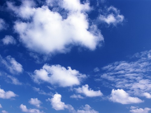 Ciel wallpaper 29