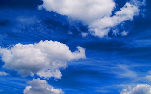 Ciel wallpaper 4