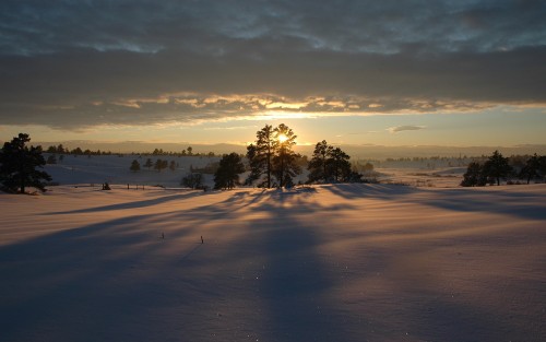 Neige wallpaper 10