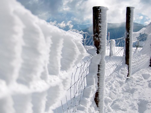 Neige wallpaper 11