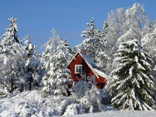 Neige wallpaper 12