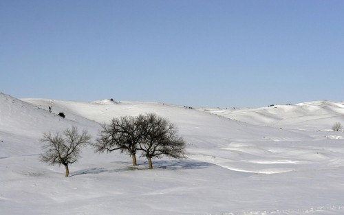 Neige wallpaper 16