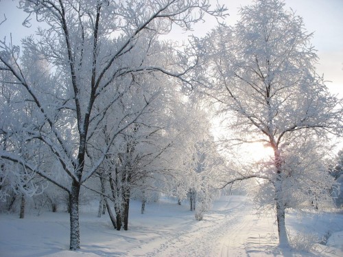 Neige wallpaper 17