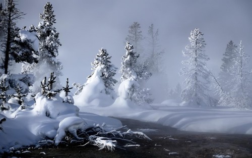 Neige wallpaper 19