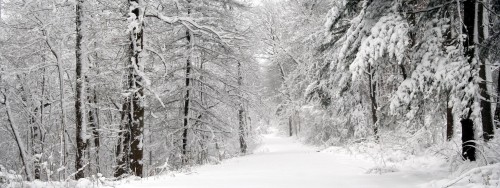 Neige wallpaper 23