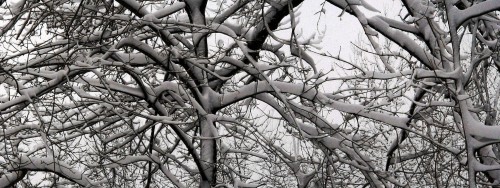 Neige wallpaper 24