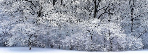 Neige wallpaper 27