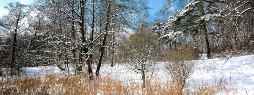 Neige wallpaper 29