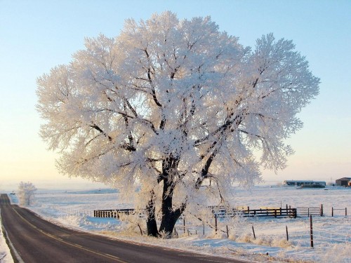Neige wallpaper 4