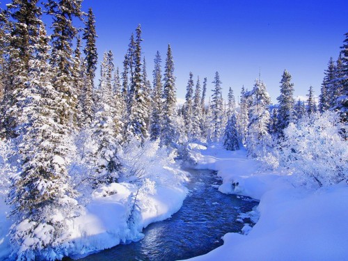 Neige wallpaper 5