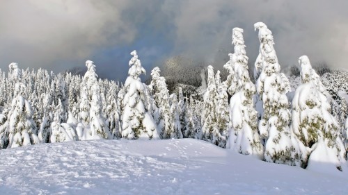 Neige wallpaper 8
