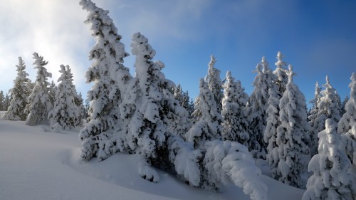 Neige wallpaper 9