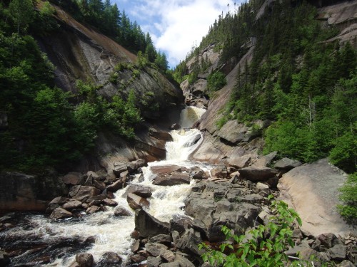 Chute MacDonald